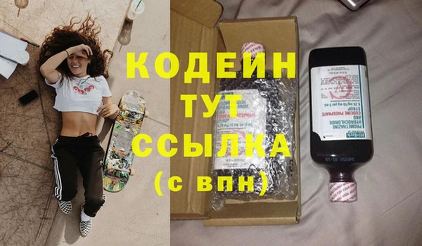 сатива Балахна