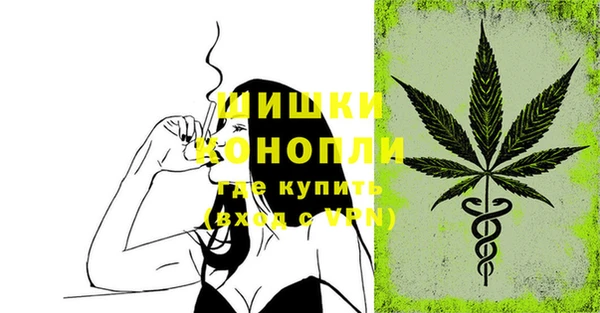 сатива Балахна