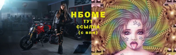 сатива Балахна