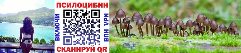 Купить где Белебей Галлюциногенные грибы Psilocybe